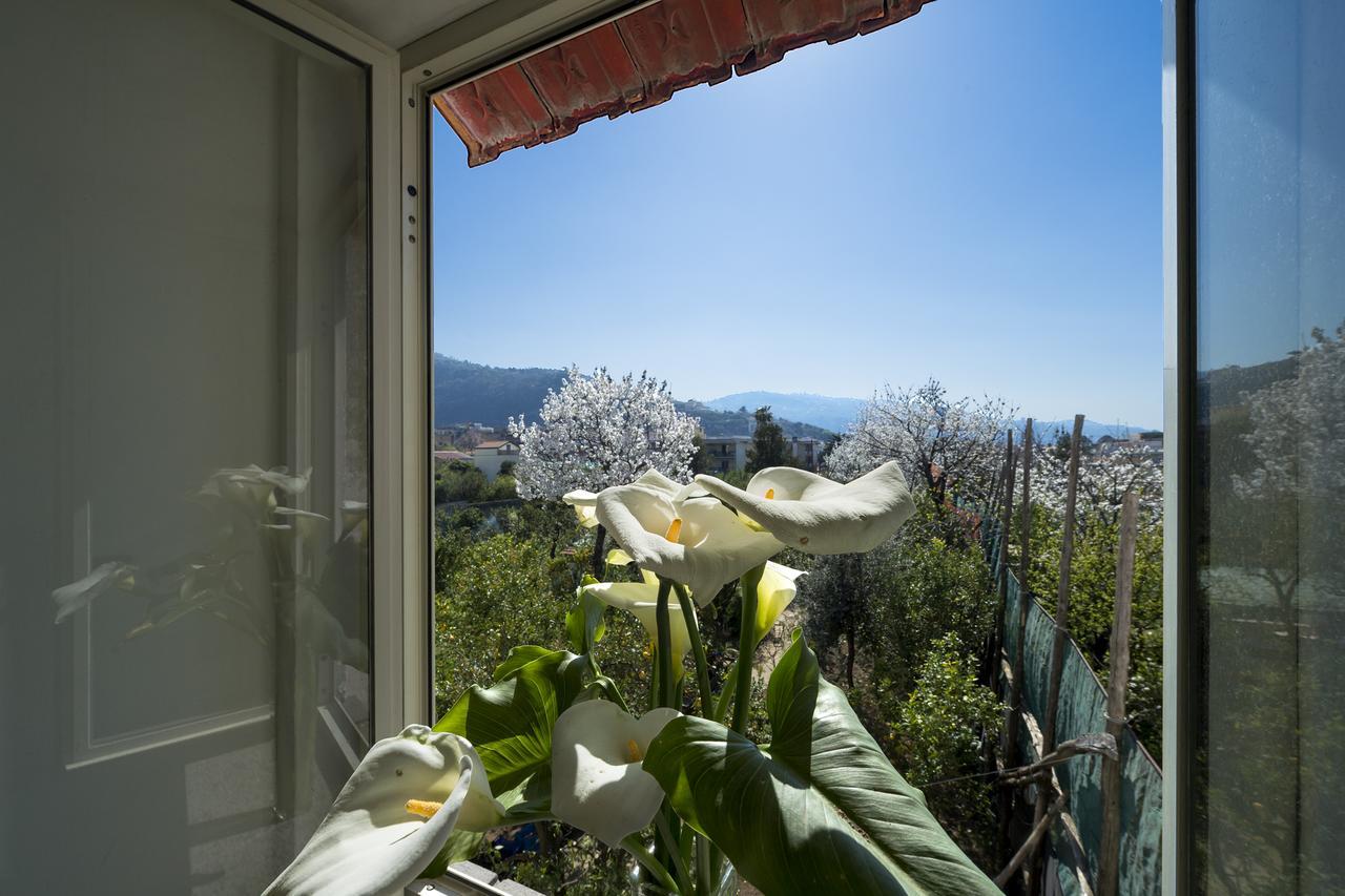 Villa Casa Lina Sant'Angelo  Exterior foto